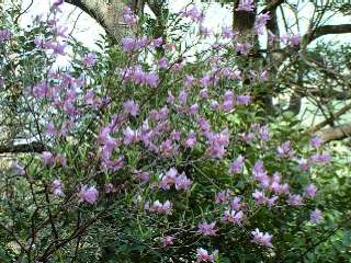 �����¼�