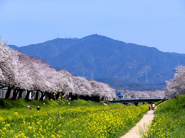 �{�{�Y�ƍ�