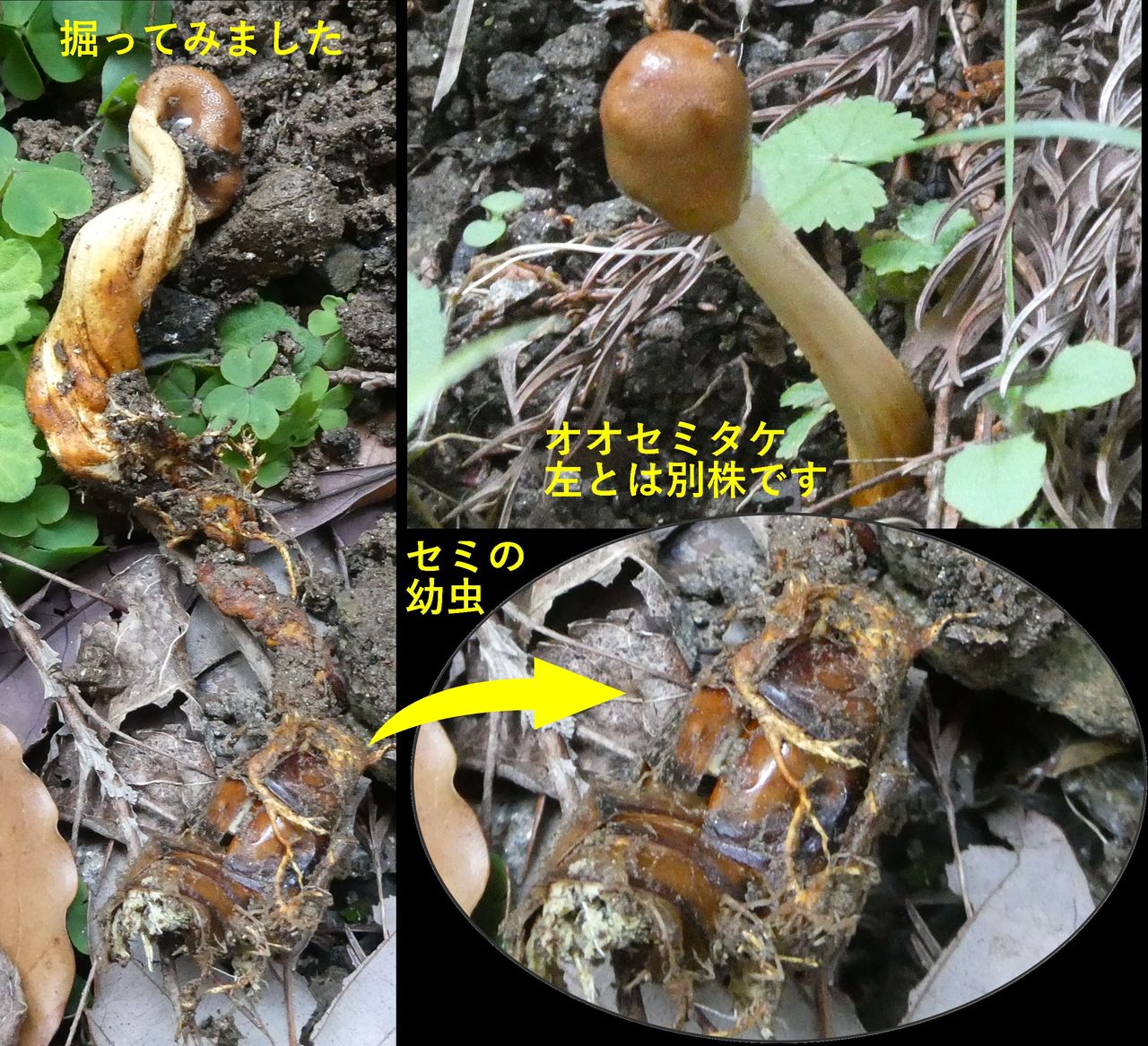 �I�I�Z�~�^�P